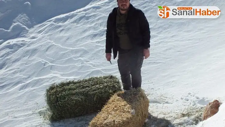 Yaban hayvanları için doğaya 5 ton yem bıraktılar
