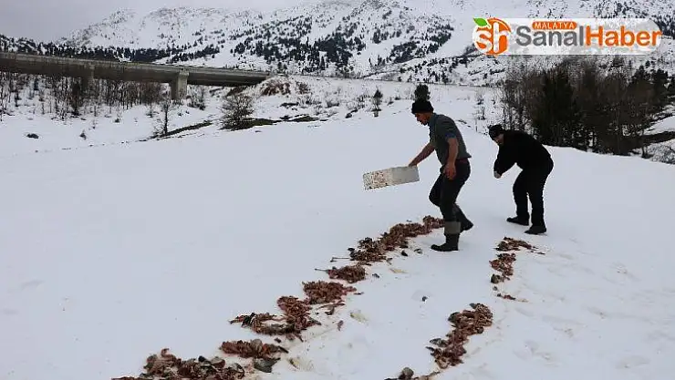 Yaban hayvanlarına balık