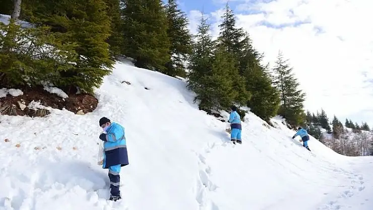 'Yaban hayvanlarına yem'