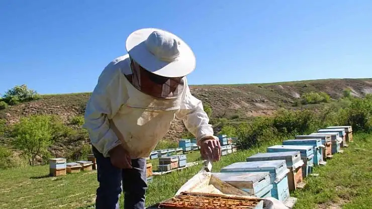 'Yağışlar arıcıları da sevindirdi, rekoltede yükseliş bekleniyor'