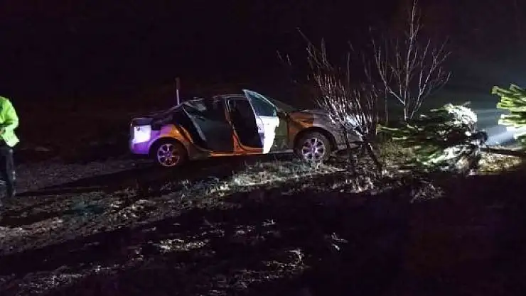 'Yağmurda kayganlaşan yol kazaya neden oldu: 3 yaralı'