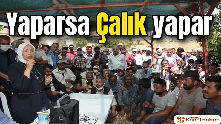 Yaparsa Çalık yapar