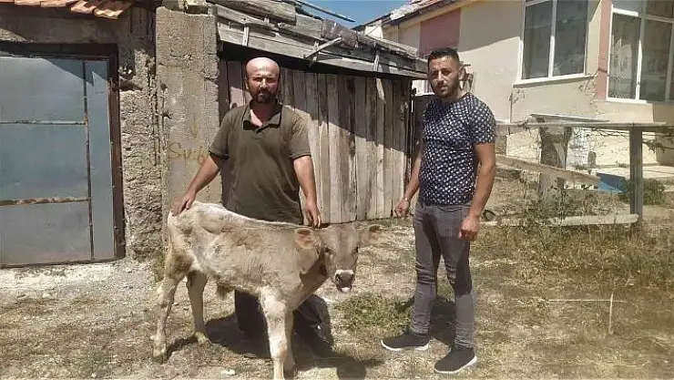 'Yaptığı hareketle insanlık ölmemiş dedirtti'