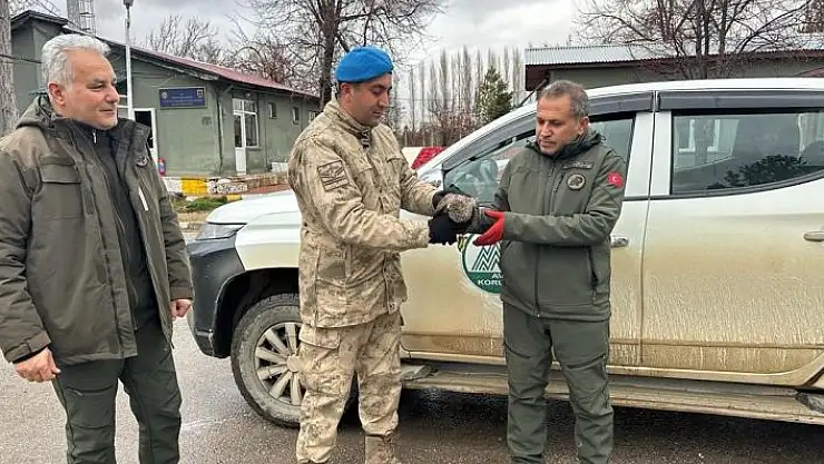 'Yaralı atmacaya jandarma ekipleri sahip çıktı'
