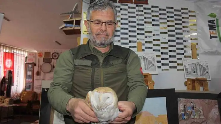 'Yaralı bulunan peçeli baykuş, doğa koruma ekiplerine teslim edildi'