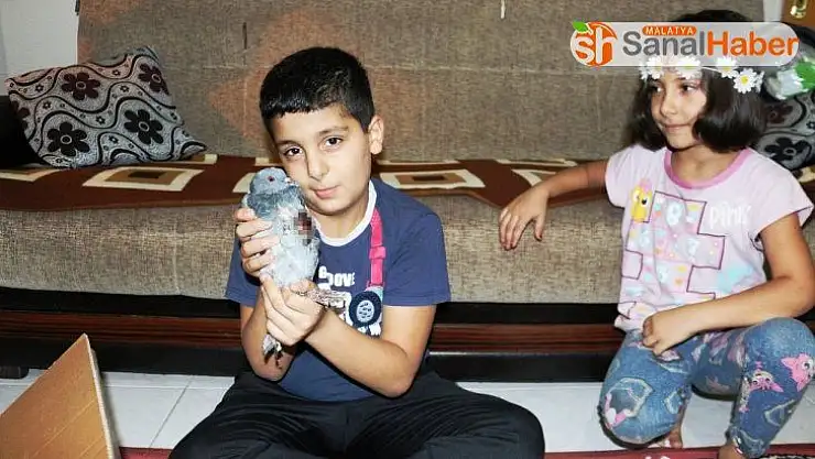 Yaralı kumruya miniklerden şefkat eli