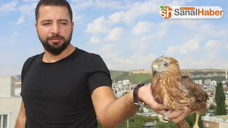 Yaralı Şahin'i tedavisi için yetkililere teslim etti