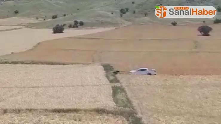 Yardıma gittikleri ayının saldırısıyla karşılaştılar