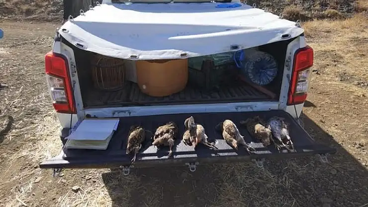 'Yasağı hiçe sayan avcılara ceza yağdı'