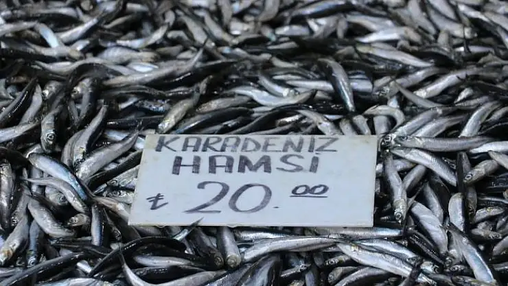 'Yasak uzatıldı, sevenleri dondurulmuş hamsiyle yetinmek zorunda kaldı'