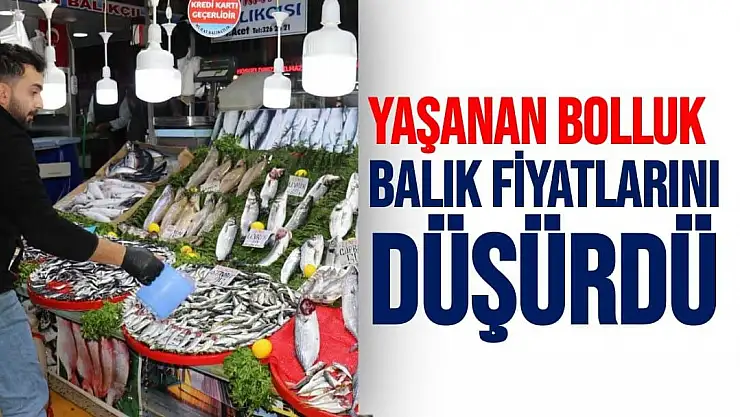 Yaşanan bolluk balık fiyatlarını düşürdü