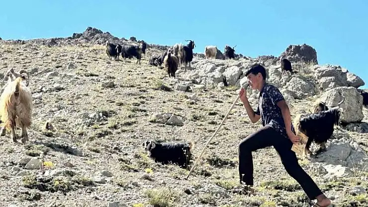 'Yaylada çobanlık yapan ve LGS´de Türkiye ikincisi olan Muhammet´in kazandığı lise belli oldu'