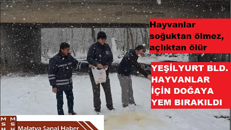 Hayvanlar Soğuktan Ölmez,   Açlıktan Ölür