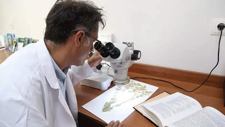 'Yeni bitki türü keşfedildi, ismini profesörden aldı'