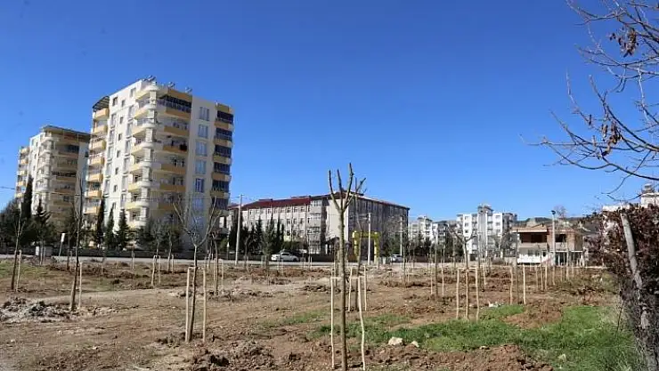 'Yeni mahalleye `Mahalle Bahçesi´ yapıldı'
