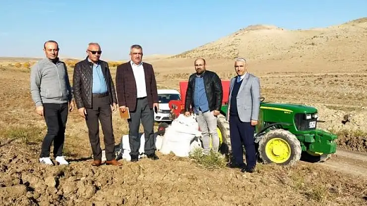 'Yerli, ekmeklik ve makarnalık buğdaylarına deneme ekimi yapıldı'