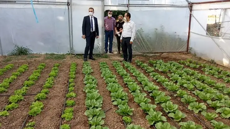 'Yeşil gıda seracılıkta kış dönemi ürün çeşitliliği artırıldı'