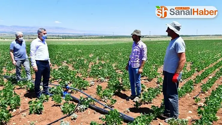 Yeşilyurt Belediyesi tarımsal arge sahasında üretimler hız kazandı