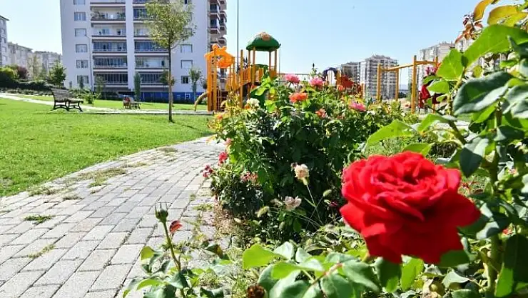 'Yeşilyurt renklendi'