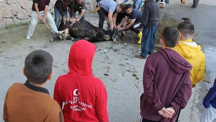 'Yine çocuklar, yine aynı manzara'