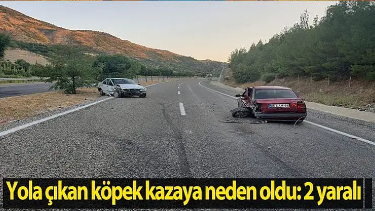 Yola çıkan köpek kazaya neden oldu