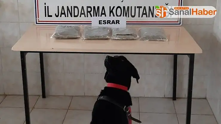 Yolcu otobüsünde uyuşturucu sevkiyatı jandarmaya takıldı