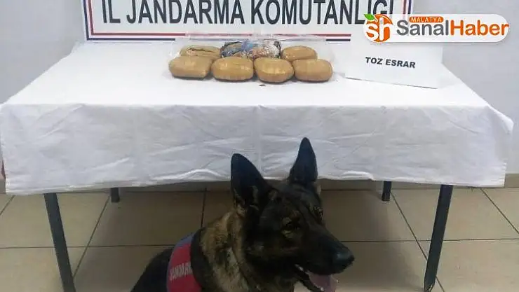 Malatya´da Jandarmadan zehir tacirlerine geçit yok
