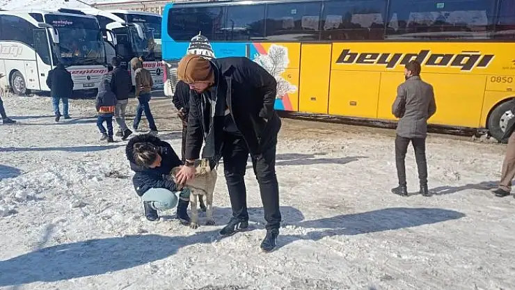 'Yolda kalan yolcular köpek besleyerek zaman geçiriyor'
