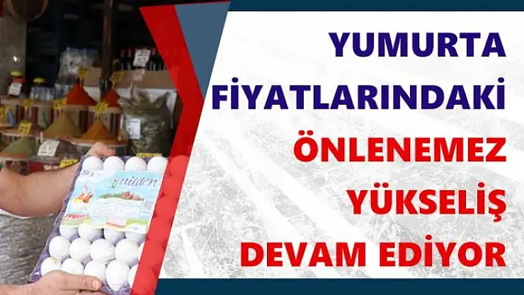 Yumurta fiyatlarındaki önlenemez yükseliş devam ediyor  