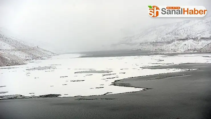 Yüzen adalar buz kesti
