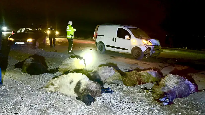 Hafif Ticari Araç Koyun Sürüsüne Daldı 12 Hayvan Telef Oldu