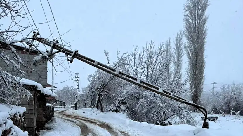 Doğanşehir'de Kar ve Tipi Elektrik Direğini Devirdi