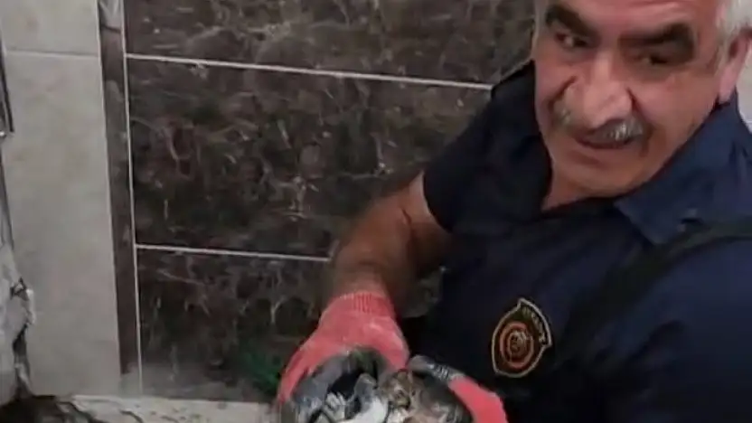 Malatya'da atık su hattına düşen yavru kedi kurtarıldı