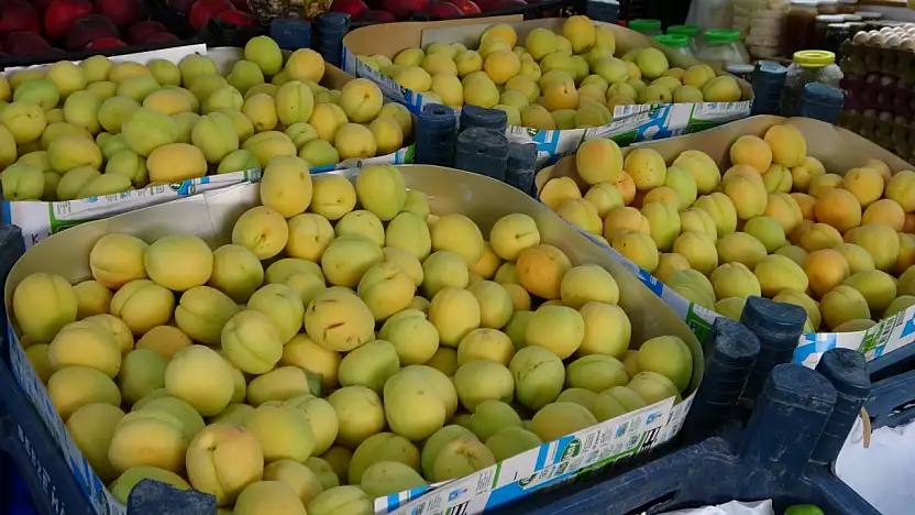 Zirai donun vurduğu Malatya'da kayısı 400 TL'den satılıyor