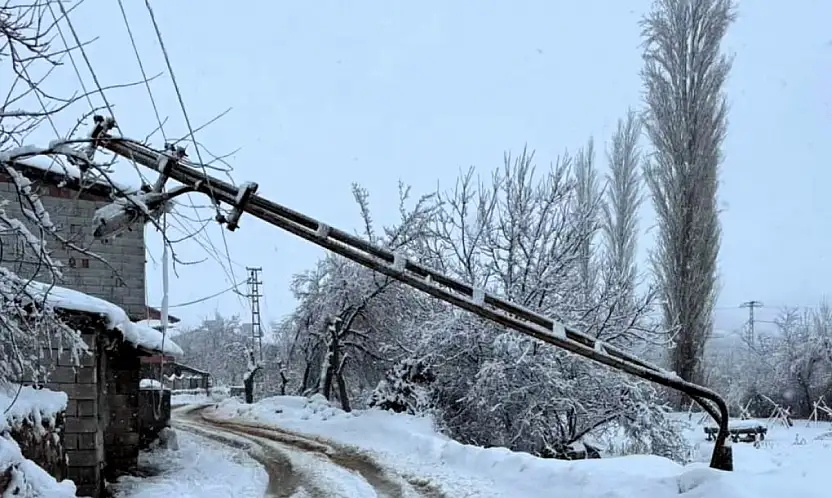 Doğanşehir'de Kar ve Tipi Elektrik Direğini Devirdi