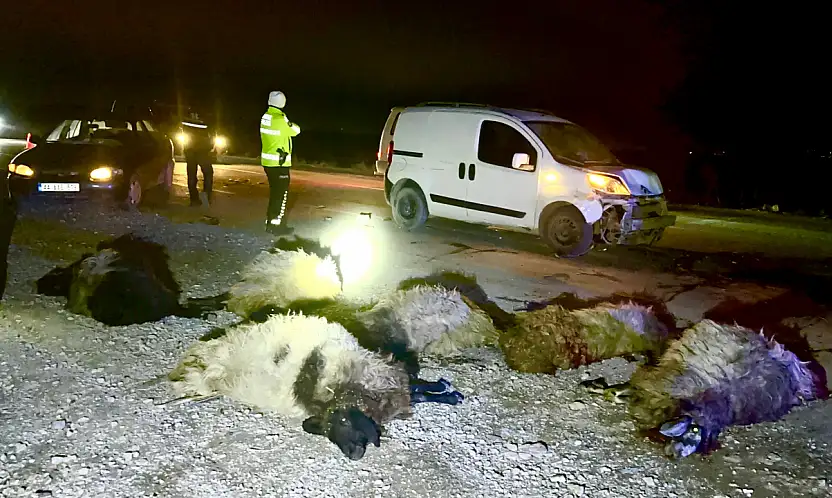 Hafif Ticari Araç Koyun Sürüsüne Daldı 12 Hayvan Telef Oldu