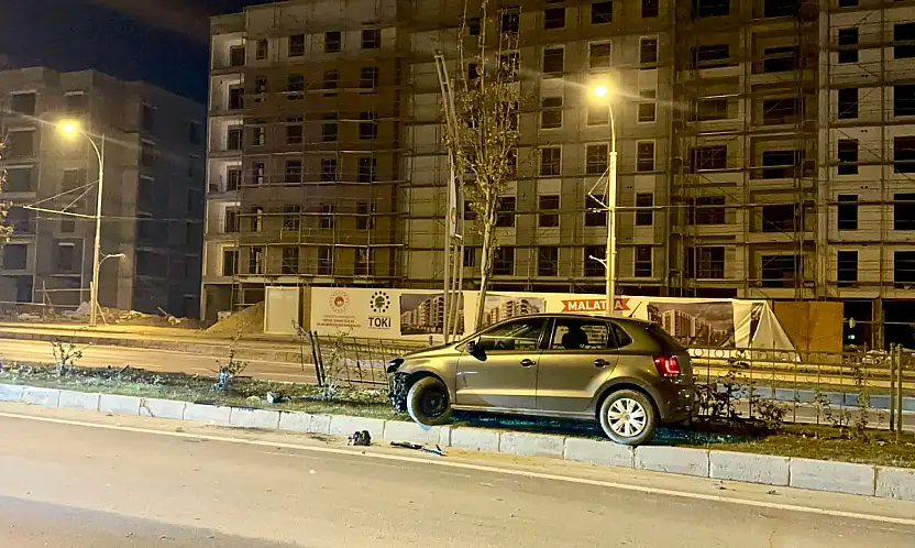 Köpeğe Çarpan Otomobil Kontrolden Çıkıp Refüje Çarptı