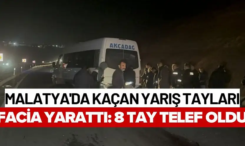 Malatya'da Kaçan Yarış Tayları Facia Yarattı: 8 Tay Telef Oldu